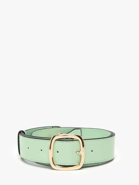 Bandoulière De Sac Altair Etrier Vert altair EALA070L vue secondaire 1