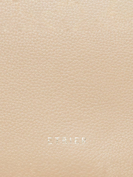 Porte-cartes Tradition Cuir Etrier Beige tradition ETRA094M vue secondaire 3