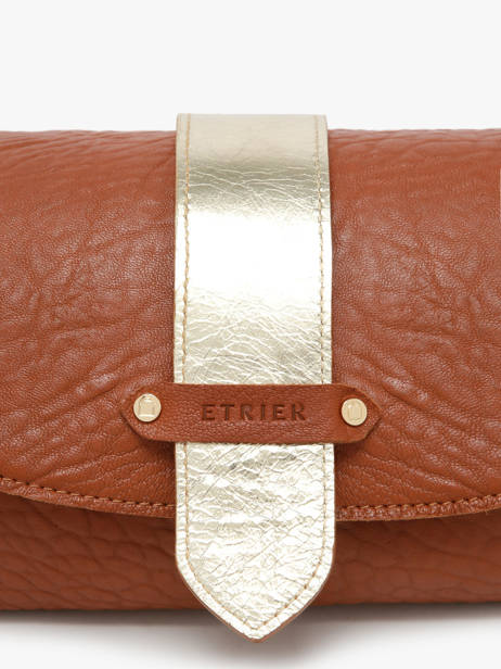 Shoulder Bag M Agnes Leather Etrier Brown agnes EAGC205M other view 3