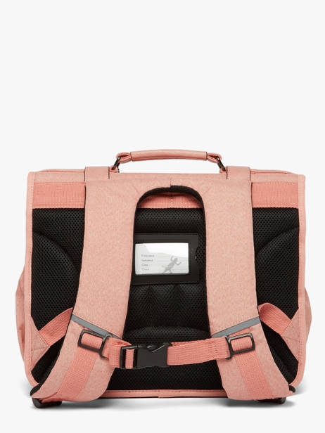 Satchel 2 Compartments Cameleon Pink vintage color CA38 other view 5