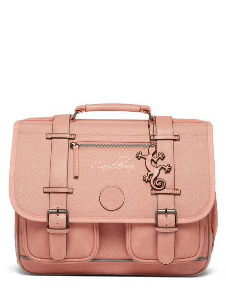 Satchel 2 Compartments Cameleon Pink vintage color CA38 other view 7