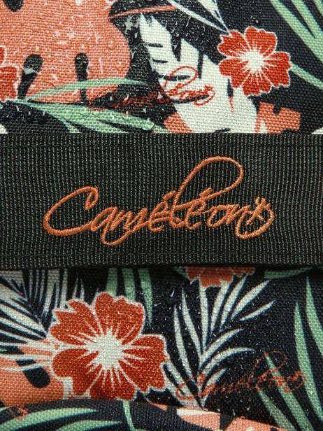 2-compartment Wheeled Satchel Cameleon Multicolor futur CR38 other view 9