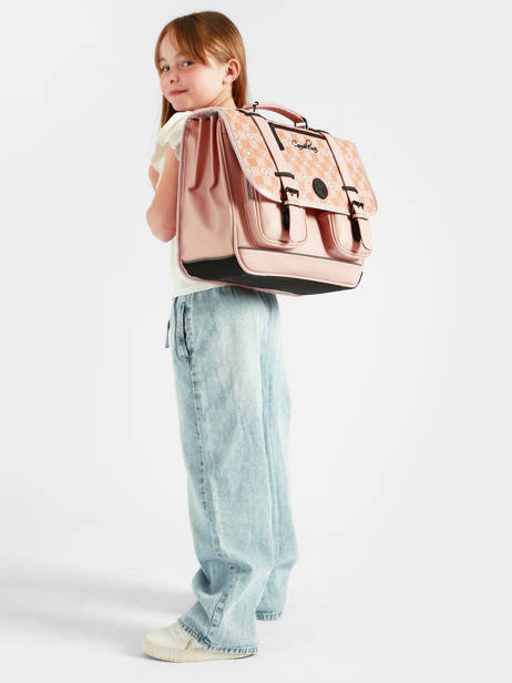 3-compartment Satchel Cameleon Pink vintage north CA41 other view 1