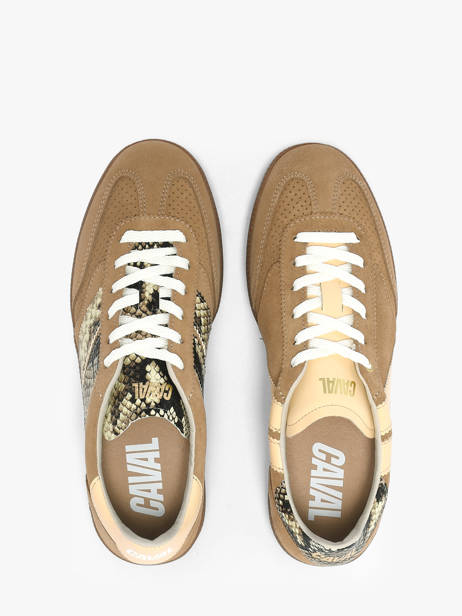 Sneakers In Leather Caval Brown women BAPULS2F other view 3