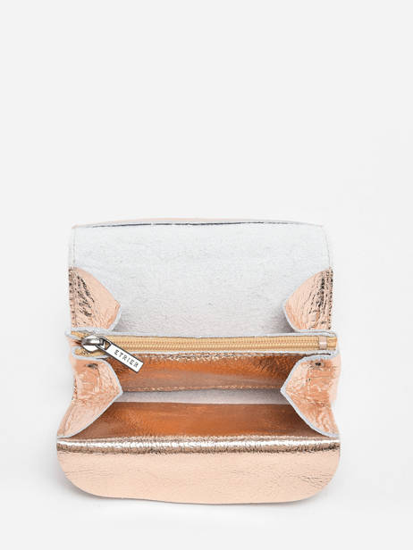 Porte-monnaie Etincelle Irisée Cuir Etrier Or etincelle irisee EETI650 vue secondaire 1