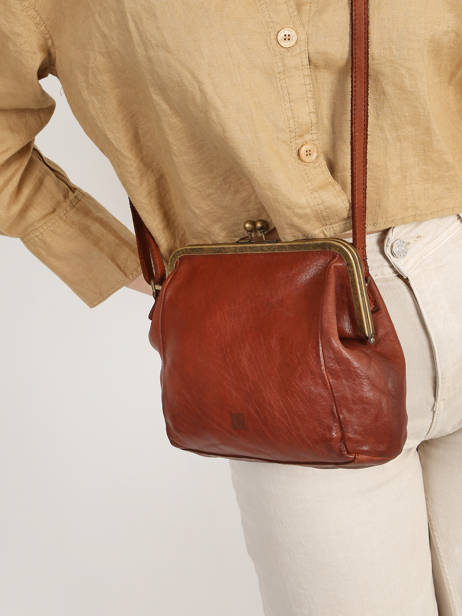 Sac BandouliÃ¨re Heritage Cuir Biba Marron heritage BT22 vue secondaire 1